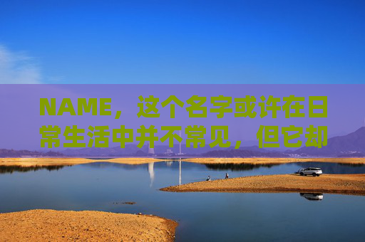NAME，这个名字或许在日常生活中并不常见，但它却在某些领域里扮演着重要的角色。今天，让我们一起来探索这个名字背后的故事和意义